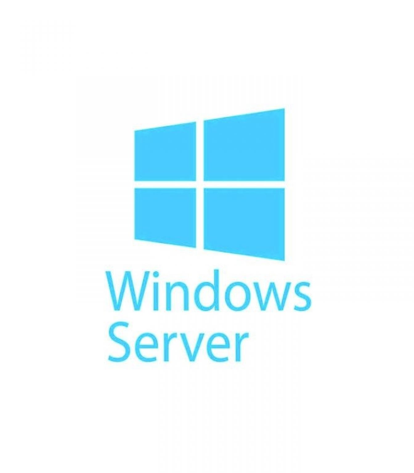 MICROSOFT - [Windows Server CAL] WinSvrCAL SA OLP NL Gov UsrCAL [Pemerintah]