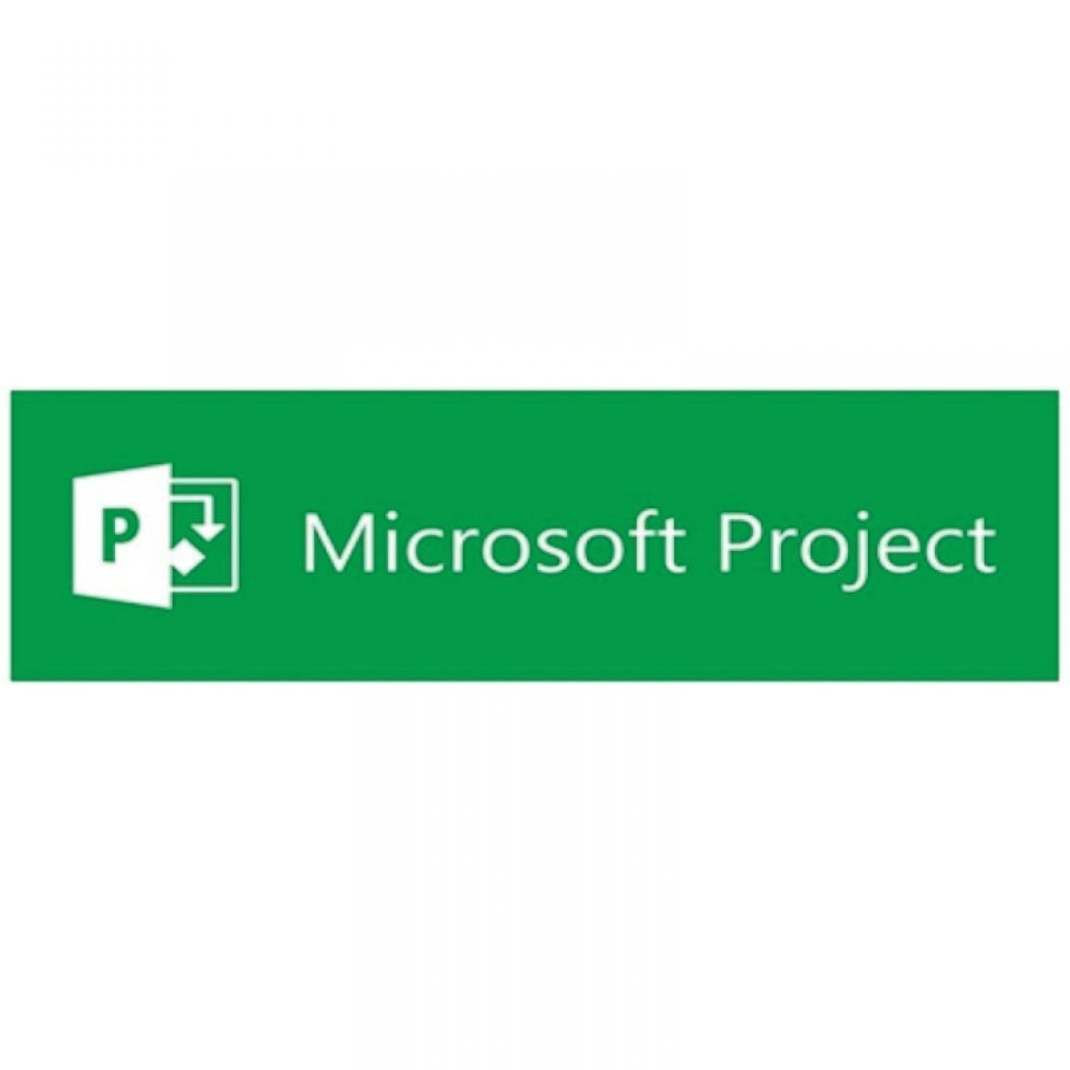 MICROSOFT - [Project Server CAL]PrjctSvrCAL 2019 OLP NL Gov UsrCAL[Pemerintah]