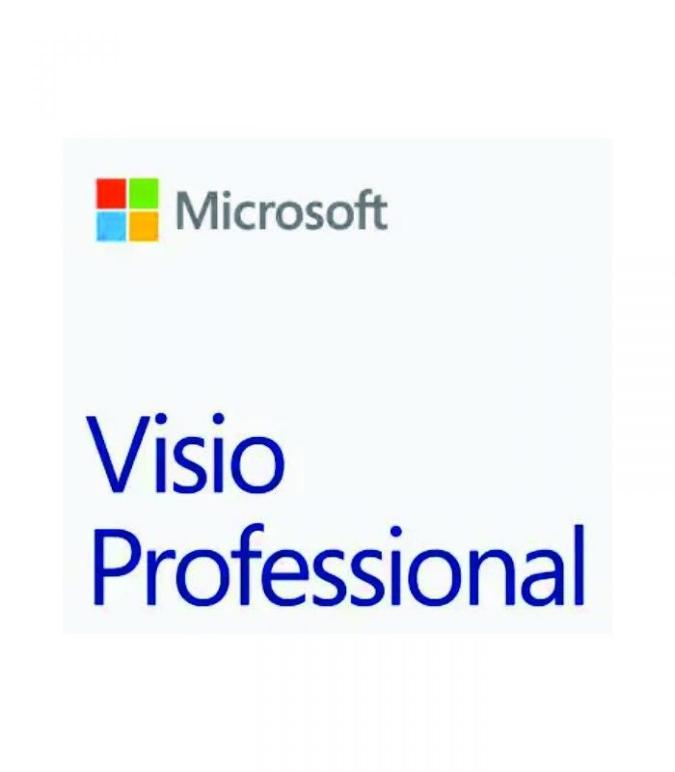 MICROSOFT - [Visio Professional]VisioPro 2019 OLP NL Gov[Pemerintah]