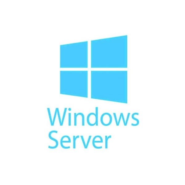 MICROSOFT - [Windows Server CAL]WinSvrCAL 2019 OLP NL Gov UsrCAL[Pemerintah]