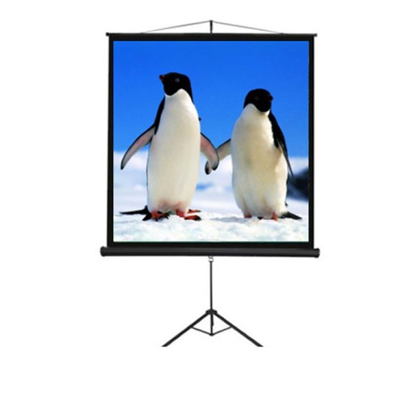 DRAPER - TRIPOD Screen 178x178 CM [TSDR1717D]