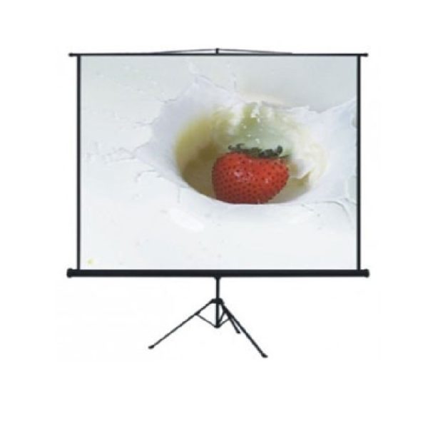 DATALITE - Tripod Screen 96Inch x 96Inch